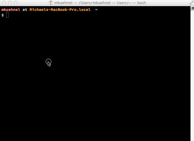 Lokale Installation Animierter Screenshot der lokale Installation