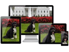 Demonstration eines responsiven Bildes auf unterschiedlichen Endgeräten.