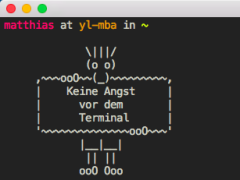 Keine Angst vor dem Terminal