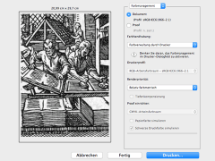 PC-Druckmenü zeigt Vorschaubild eines alten Stichs zum Buchdruck