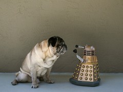 Mops schaut auf Dalek-Figur