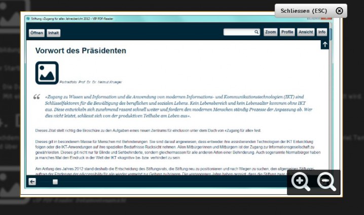 Ausschnitt Seite 3 - Handbuch VIP-Reader im Kontrastmodus des VIP-Readers. Zugeschaltete Grafik