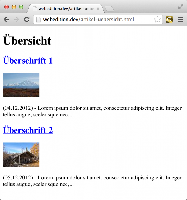 webEdition - Screenshot Frontend Artikel-Übersicht