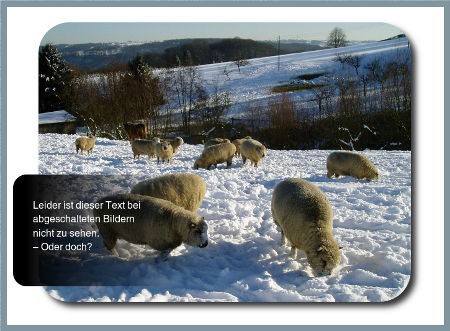 Bild 1: normale Ansicht mit Bildern