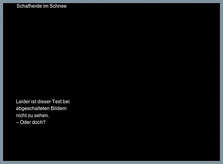 Bild 4: Ansicht ohne Bilder mit schwarzem Hintergrund und weißem Alternativtext