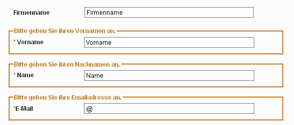 Abb. 10: In drei von vier Feldern werden fehlende Eingaben mithilfe von FIELDSET und LEGEND hervorgehoben.