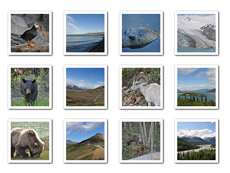 Beispiel-Bildergalerie